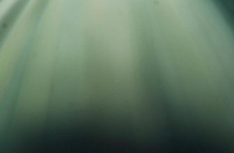 measuring progress beyond weight